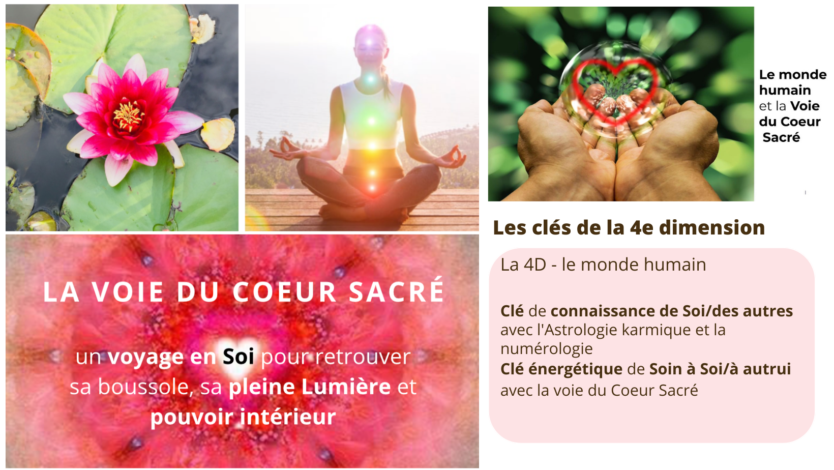 Module 4 - Le monde humain