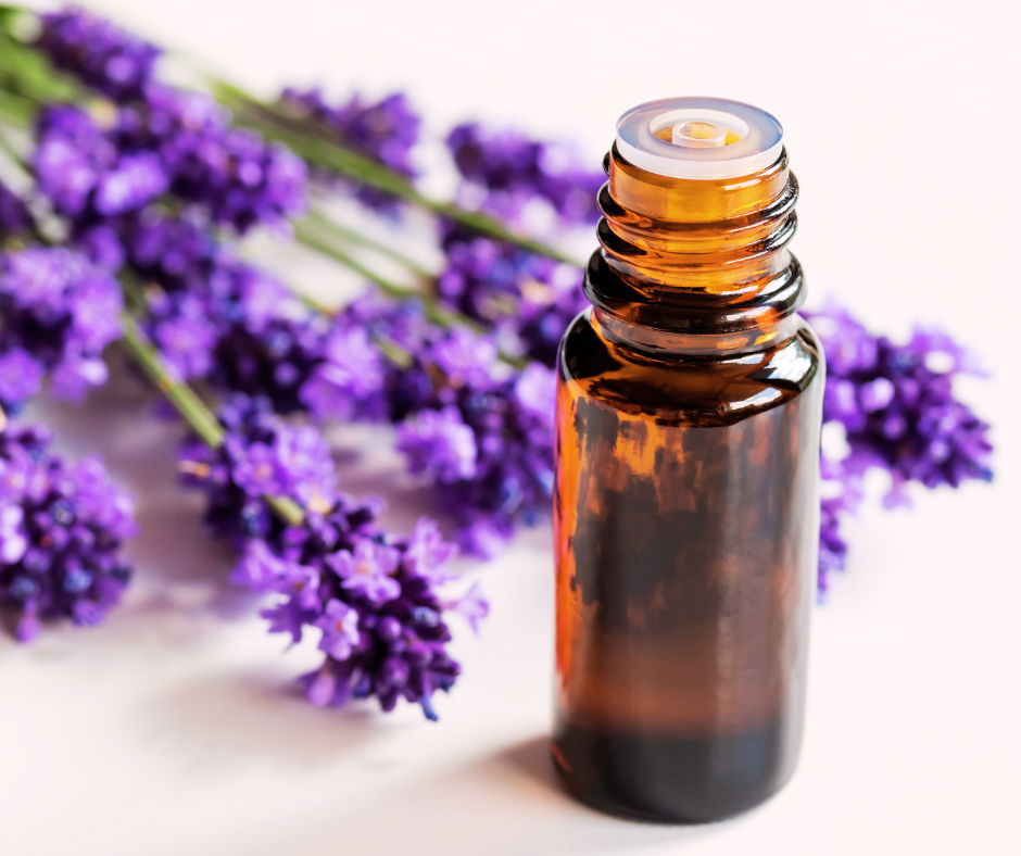 Formation thème végétal — les atouts Co-Nais-Toi