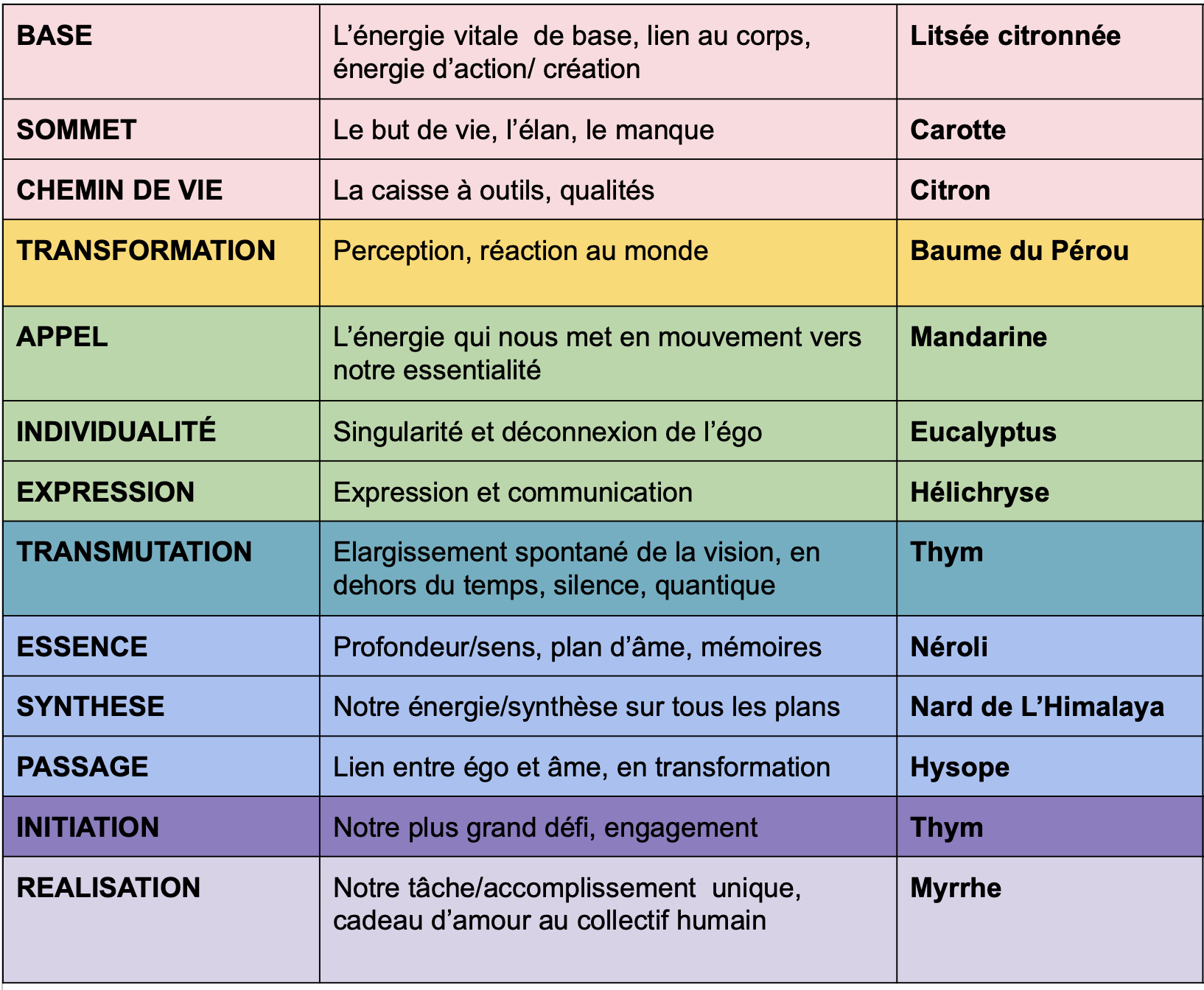 Les 13 lignes du thème végétal — décryptage émotionnel