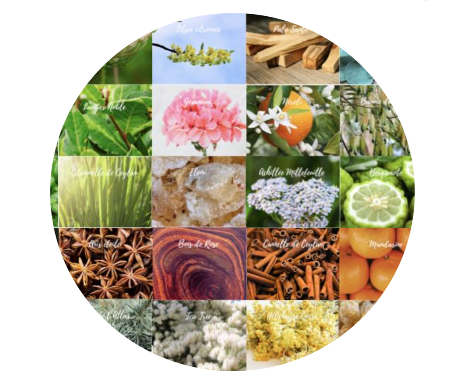 Vibration des 33 huiles essentielles du référentiel