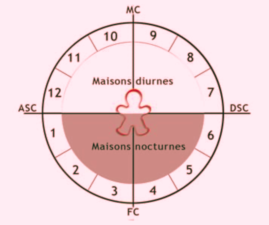 Module 4 - les maisons astrologiques