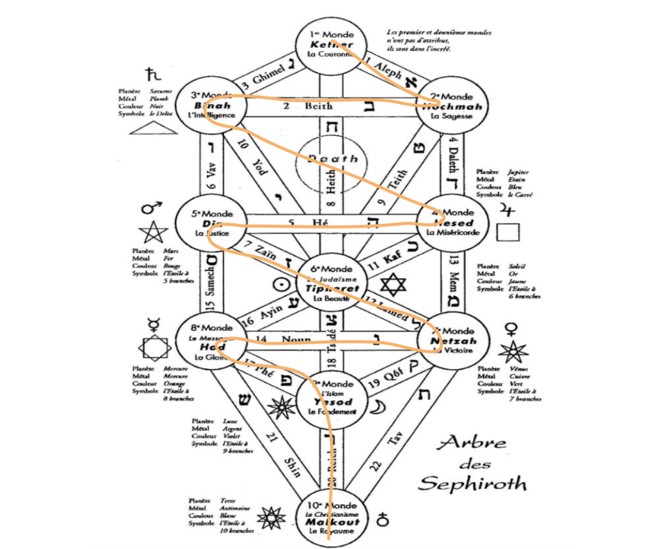 Module 1 - introduction à l'arbre de vie