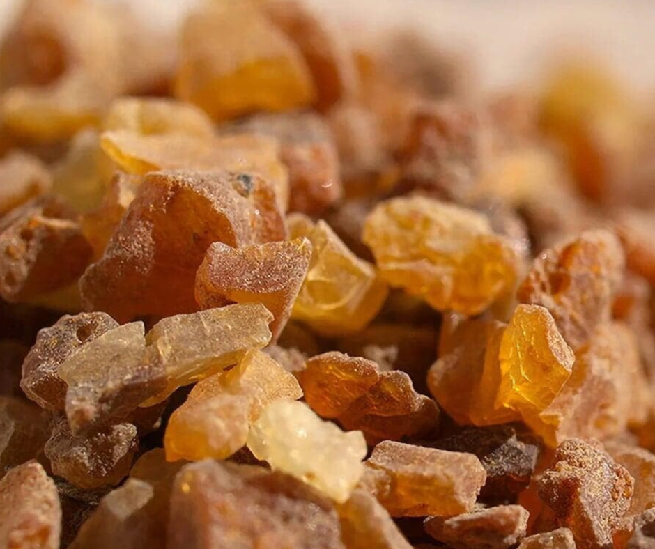 Contact formation thème végétal Co-Nais-Toi