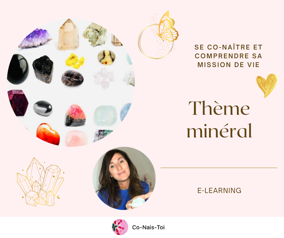 Essence minérale - Thème minéral (1D) - E-learning