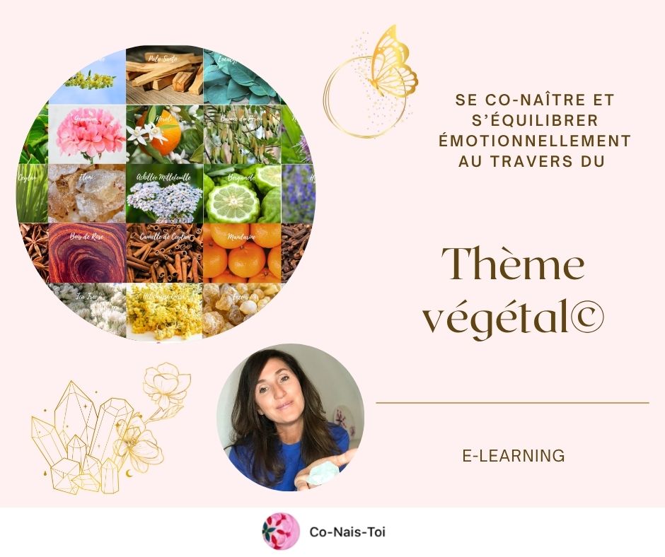 Essence végétale - Le thème Végétal© (2D) E-learning