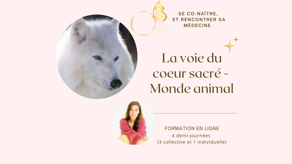 Fomation - Le monde animal   (module 3 de La voie du Coeur Sacré ) - en ligne