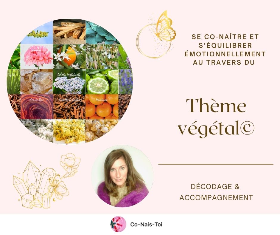 Lecture de Thème Végétal©