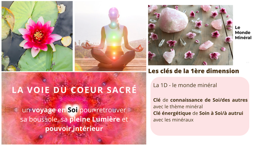 Formation La voie du Coeur Sacré - 1D - Le monde minéral - en ligne - en individuel