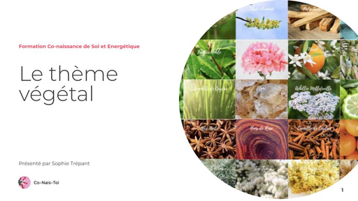 Formation Thème végétal - en ligne