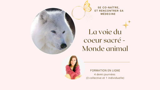 Fomation - Le monde animal   (module 3 de La voie du Coeur Sacré ) - en ligne