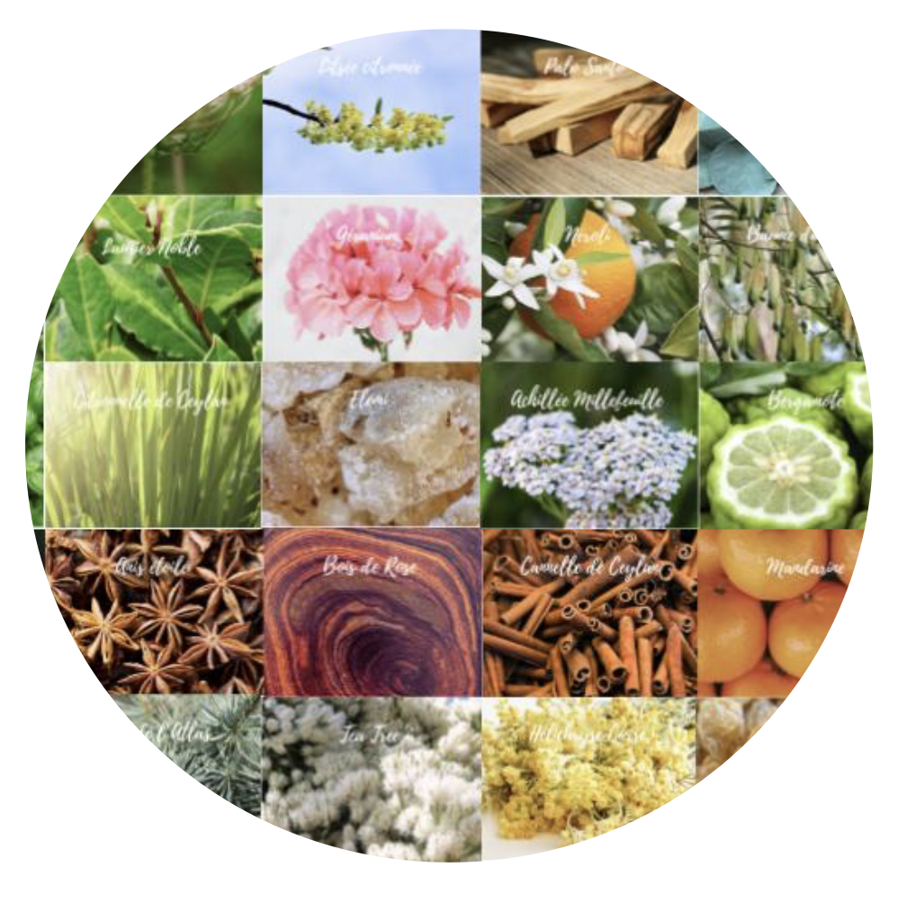 Essence Végétale - Thème Végétal©